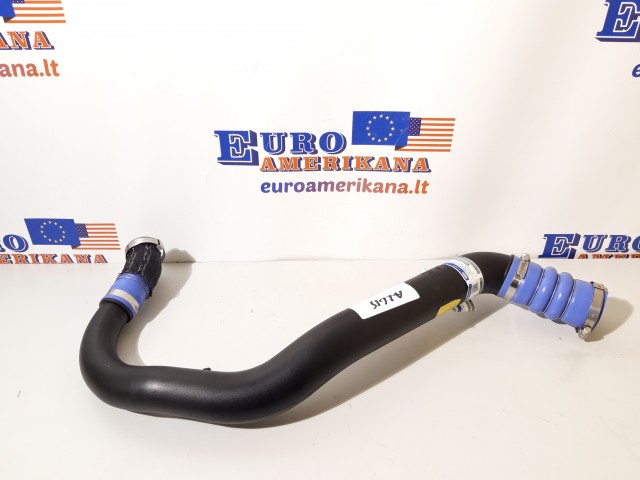Upper Hose